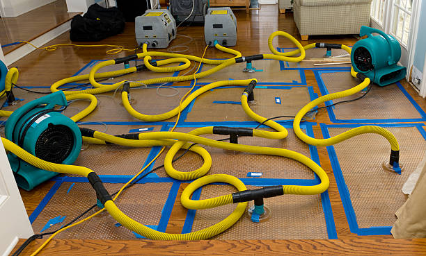 Professional Water Damage Repair technician working in Harshaw, WI