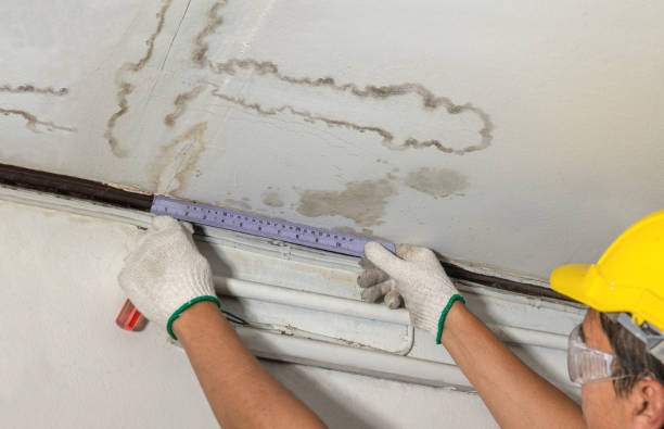 Affordable Water Damage Repair solutions in Harshaw, WI